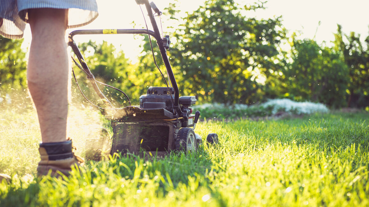 lawn care at home