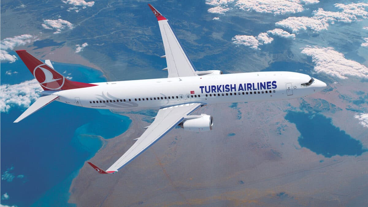 Turkish Airlines flying in the sky