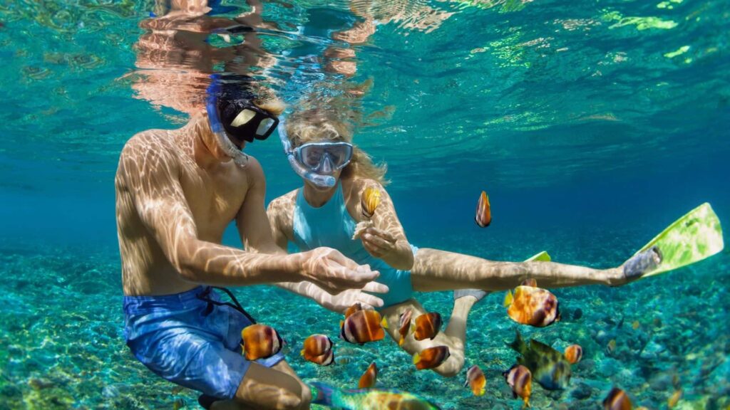 Two people snorkeling in a tropical ocean