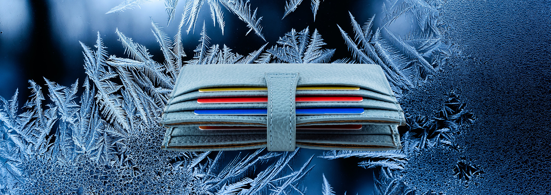 wallet on icy background