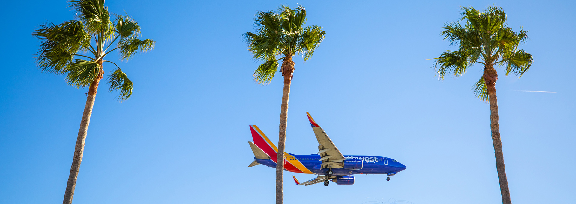 Southwest plane flying past palm trees